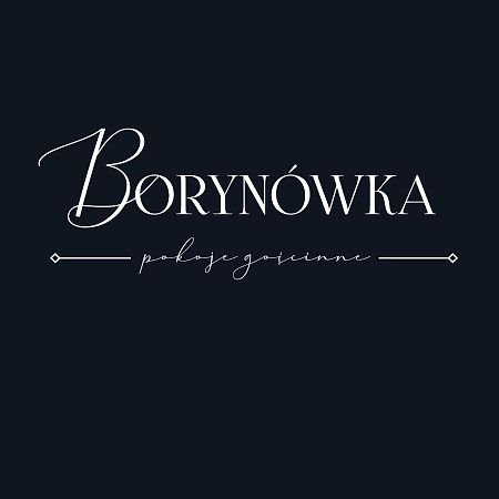 Willa Borynowka Kazimierz Dolny Exteriér fotografie